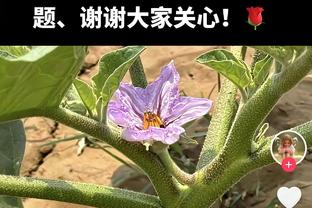 造三球！巴斯克斯本场数据：1传1射，1次造点，4抢断，评分8.8分