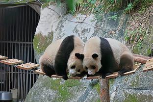 雷竞技电竞下载